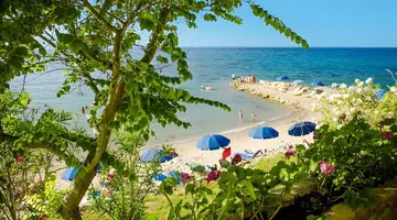 Alexandra Beach Resort & Spa