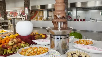 ALEXANDRE GALA HOTEL
