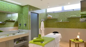 Alexandre Hotel Troya