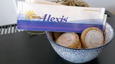 Alexis Hotel