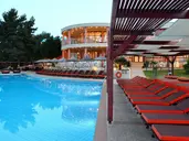 Alia Palace