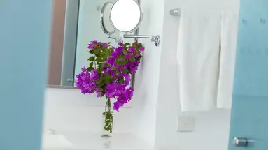 Aliathon Aegean Hotel