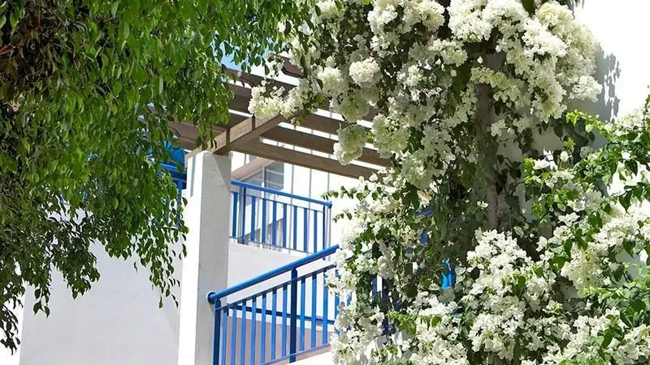 Aliathon Aegean
