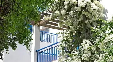Aliathon Aegean