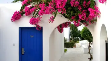 Aliathon Aegean