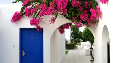 Aliathon Aegean