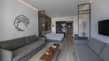 Aliathon Ionian Hotel
