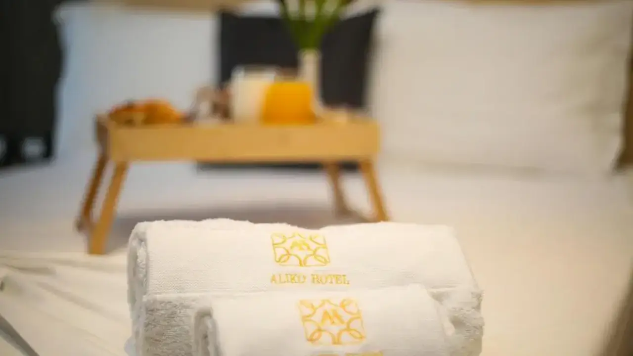 ALIKO HOTEL