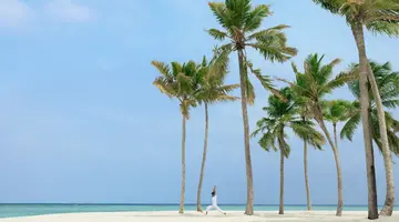 ALILA KOTHAIFARU MALDIVES