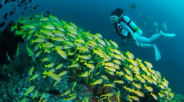 ALILA KOTHAIFARU MALDIVES