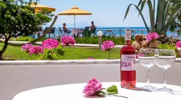 Alkionis Beach Hotel Apartments