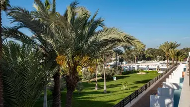 Allegro Agadir