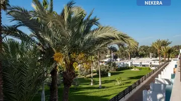 Allegro Agadir