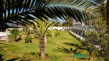 Allegro Agadir