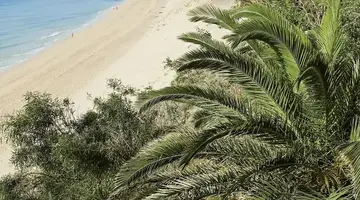 Allsun Hotel Esquinzo Beach