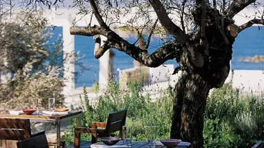 Almyra Hotel
