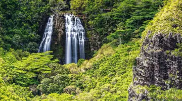 Aloha Hawaii!