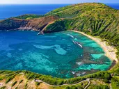 Aloha Hawaii!