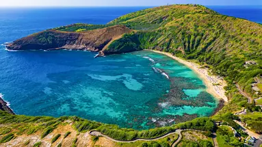 Aloha Hawaii!