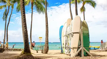 Aloha Hawaii!
