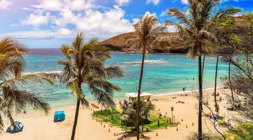 Aloha Hawaii!