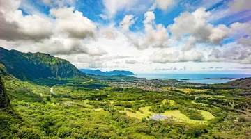 Aloha Hawaii!