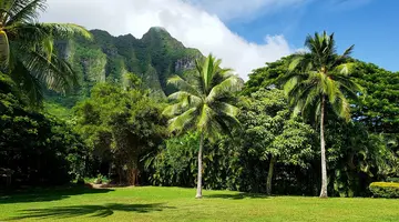 Aloha Hawaii!