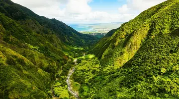 Aloha Hawaii!
