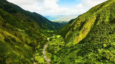 Aloha Hawaii!
