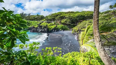 Aloha Hawaii!