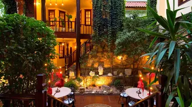 Alp Pasa
