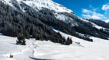 AlpenGold Hotel Davos