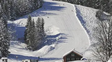 Alpin & Wellness Resort H