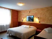 Alps Hotel Wellness Oriental