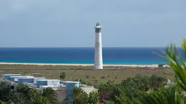 Altamarena