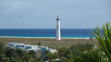 Altamarena