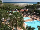 Altamarena