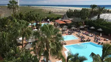 Altamarena
