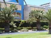 Altamarena