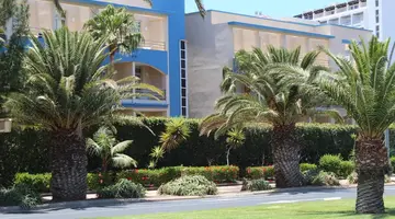 Altamarena