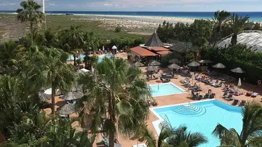 Altamarena