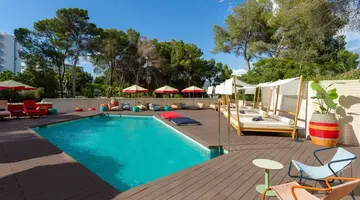 Alua Calvia