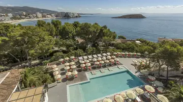 Alua Calvia