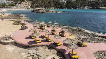 Alua Gran Camp de Mar Hotel