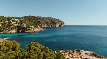 Alua Gran Camp de Mar Hotel