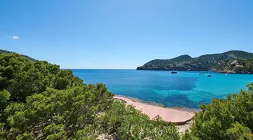 Alua Gran Camp de Mar Hotel