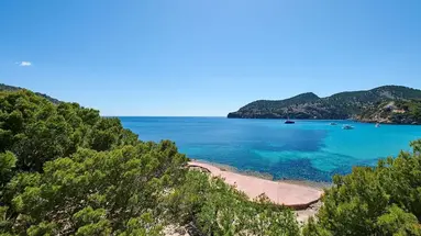 Alua Gran Camp de Mar Hotel