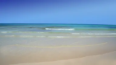 ALUA SUITES FUERTEVENTURA