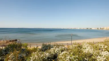 ALUA SUNNY BEACH RESORT & SPA (ex. DREAMS SUNNY BEACH RESORT AND SPA)