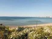 Alua Sunny Beach Resort & Spa (ex. Dreams Sunny Beach Resort & Spa)